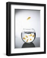 Goldfish jumping out of a bowl and escaping from the crowd-Steve Lupton-Framed Premium Photographic Print