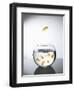 Goldfish jumping out of a bowl and escaping from the crowd-Steve Lupton-Framed Premium Photographic Print