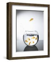 Goldfish jumping out of a bowl and escaping from the crowd-Steve Lupton-Framed Photographic Print