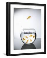 Goldfish jumping out of a bowl and escaping from the crowd-Steve Lupton-Framed Photographic Print
