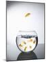 Goldfish jumping out of a bowl and escaping from the crowd-Steve Lupton-Mounted Photographic Print