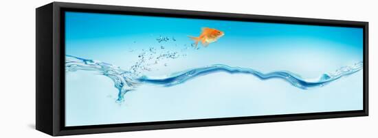 Goldfish Jumping Out of Water-null-Framed Stretched Canvas