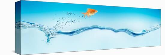 Goldfish Jumping Out of Water-null-Stretched Canvas