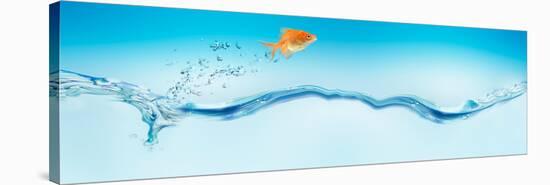 Goldfish Jumping Out of Water-null-Stretched Canvas