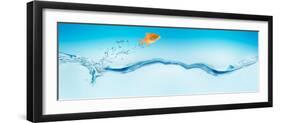 Goldfish Jumping Out of Water-null-Framed Premium Photographic Print