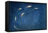 Goldfish Pool-Lincoln Seligman-Framed Stretched Canvas