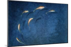 Goldfish Pool-Lincoln Seligman-Mounted Giclee Print
