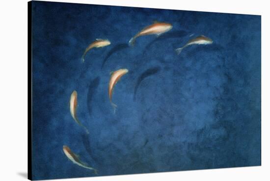 Goldfish Pool-Lincoln Seligman-Stretched Canvas