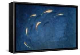 Goldfish Pool-Lincoln Seligman-Framed Stretched Canvas