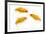 Goldfish Swimming in Water-Herbert Kehrer-Framed Photographic Print