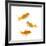 Goldfish Swimming in Water-Herbert Kehrer-Framed Photographic Print