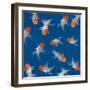 Goldfish Texture on Blue Background for Wallpaper-bluehand-Framed Photographic Print