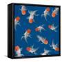 Goldfish Texture on Blue Background for Wallpaper-bluehand-Framed Stretched Canvas