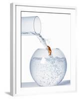 Goldfish Trying to Swim up a Stream of Water-null-Framed Photographic Print