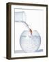 Goldfish Trying to Swim up a Stream of Water-null-Framed Photographic Print