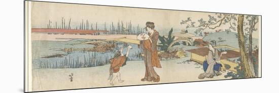 Goldfish Vendor, 1801-1805-Katsushika Hokusai-Mounted Premium Giclee Print