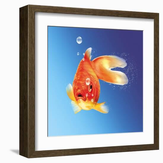 Goldfish with Water Bubbles-null-Framed Art Print