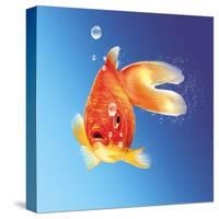 Goldfish with Water Bubbles-null-Stretched Canvas