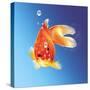 Goldfish with Water Bubbles-null-Stretched Canvas