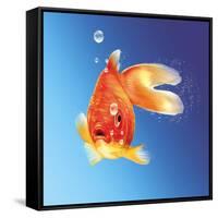 Goldfish with Water Bubbles-null-Framed Stretched Canvas