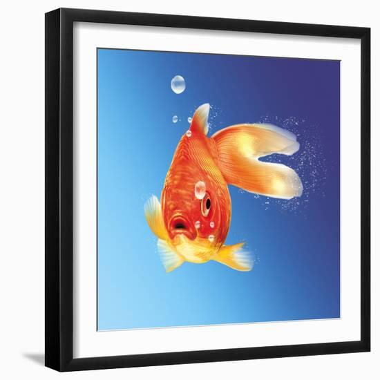 Goldfish with Water Bubbles-null-Framed Art Print