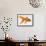 Goldfish-Mark Mawson-Framed Stretched Canvas displayed on a wall