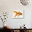 Goldfish-Mark Mawson-Photographic Print displayed on a wall