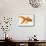 Goldfish-Mark Mawson-Mounted Photographic Print displayed on a wall