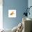 Goldfish-Mark Mawson-Photographic Print displayed on a wall