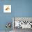 Goldfish-Mark Mawson-Mounted Photographic Print displayed on a wall