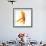 Goldfish-Mark Mawson-Framed Photographic Print displayed on a wall