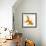 Goldfish-Mark Mawson-Framed Photographic Print displayed on a wall