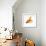 Goldfish-Mark Mawson-Framed Photographic Print displayed on a wall