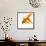 Goldfish-Mark Mawson-Framed Stretched Canvas displayed on a wall