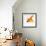 Goldfish-Mark Mawson-Framed Photographic Print displayed on a wall