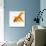 Goldfish-Mark Mawson-Photographic Print displayed on a wall
