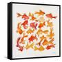 Goldfish-Cat Coquillette-Framed Stretched Canvas