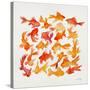 Goldfish-Cat Coquillette-Stretched Canvas