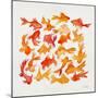Goldfish-Cat Coquillette-Mounted Giclee Print