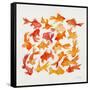 Goldfish-Cat Coquillette-Framed Stretched Canvas