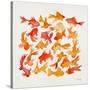 Goldfish-Cat Coquillette-Stretched Canvas