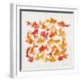 Goldfish-Cat Coquillette-Framed Premium Giclee Print