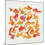 Goldfish-Cat Coquillette-Mounted Giclee Print