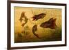 Goldfish-F.W. Kuhnert-Framed Premium Giclee Print