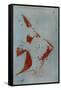 Goldfish-Whoartnow-Framed Stretched Canvas