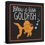 Goldfish-Erin Clark-Framed Stretched Canvas