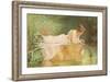 Goldfish-Alfred Walter Bayes-Framed Giclee Print