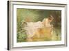 Goldfish-Alfred Walter Bayes-Framed Giclee Print
