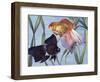 Goldfishes (Carassius Auratus), Cyprinidae-null-Framed Giclee Print