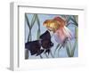 Goldfishes (Carassius Auratus), Cyprinidae-null-Framed Giclee Print